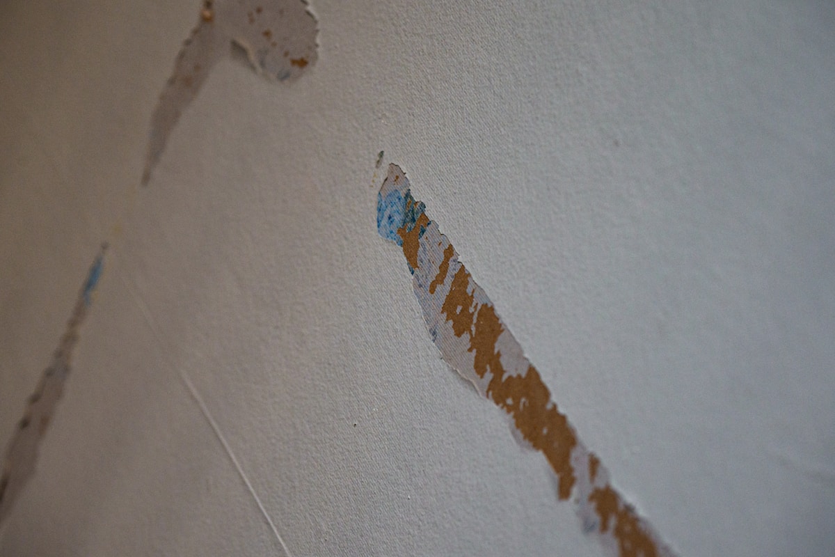 Flood Cleanup service in Largo, FL